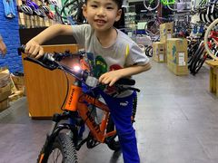 -GIANT捷安特自行车专卖店(金桥台儿庄路店)