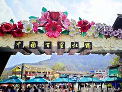 -贵州百里杜鹃风景名胜区