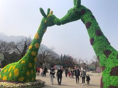 -西安秦岭野生动物园