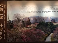 iphone_upload_pic-孙权墓遗址