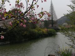 -苏州上方山国家森林公园