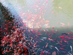 -太白山御龙湾温泉