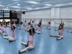 -西安小天鹅艺术团(曲江Alice店)