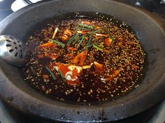 -秦巴石锅鱼(文化南路店)