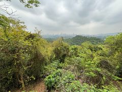 -火炉山森林公园