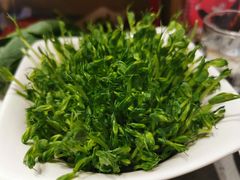 -海底捞火锅(铂澜大象城店)