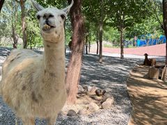 -北京野生动物园