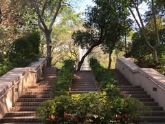 -九龙公园
