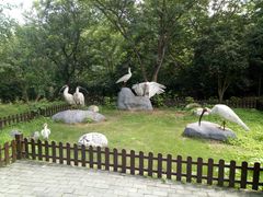 -下渚湖国家湿地公园科普馆