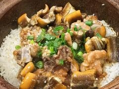 -红星光发煲仔饭(大石街店)