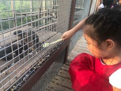 -欢乐松鼠谷