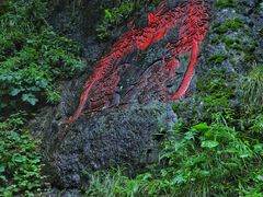 -芦芽山旅游度假区