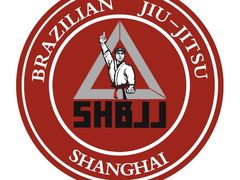 -金翼跆拳道巴西柔术拳击格斗学院