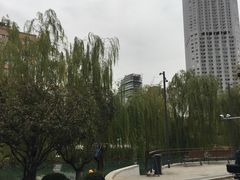 -三里屯东五街银杏大道