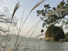-无锡蠡湖国家湿地公园-蠡园