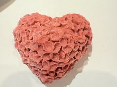 -吉兆·料理(红梅南路店)