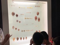 -青岛贝壳博物馆