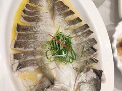 清蒸鲈鱼-百姓渔村(建设路店)