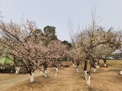 -桂溪生态公园