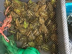 -阿巧一号私房菜(止园路店)