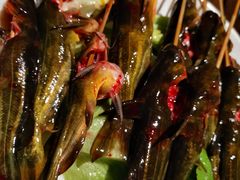 -马帮寨院坝火锅(龙港公园店)