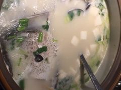 姜君千岛湖鱼头-姜君·千岛湖鱼头馆(浦东大道店)