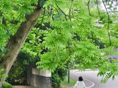 -知美术馆