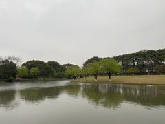 -上海方塔园