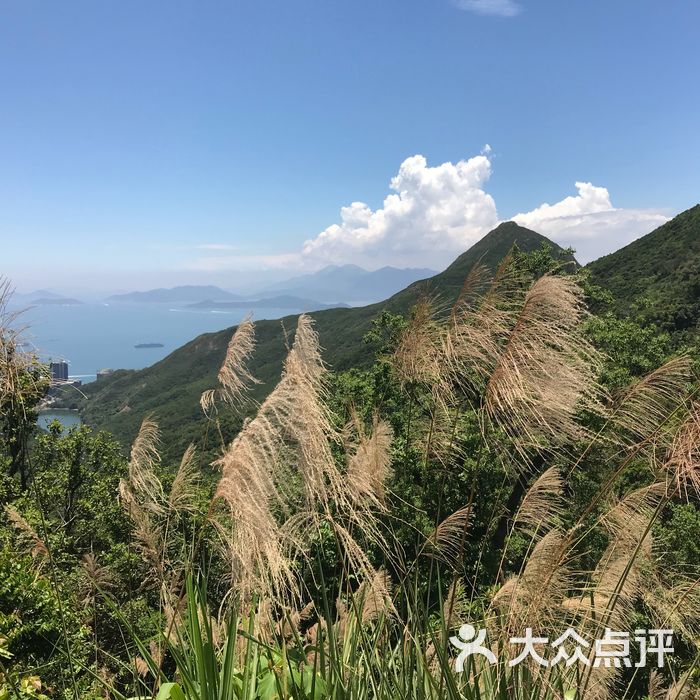 薄扶林郊野公园
