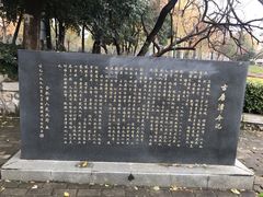 -环城公园-琥珀潭