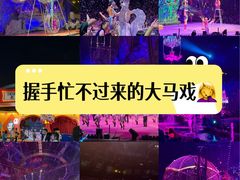 -广州长隆国际大马戏