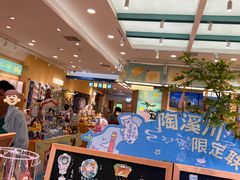 -猫的天空之城概念书店(景德镇陶溪川店)
