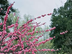 -迎泽公园
