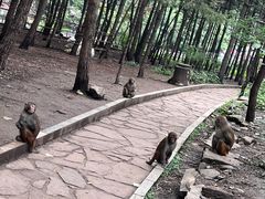 -山西通天峡景区