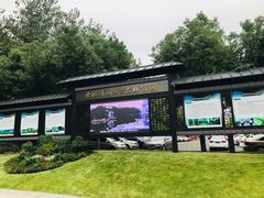 -合肥滨湖国家森林公园