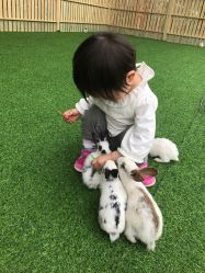 -萌宠亲子动物乐园(槐房万达店)