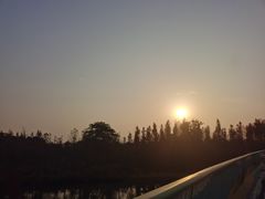 -白鹭湾湿地公园