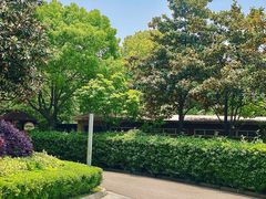 -张家港金凤凰度假村温泉