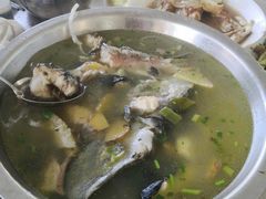 鲟鱼-青龙潭鱼庄