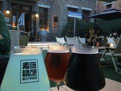 -麦落精酿啤酒餐吧(先农大院店)