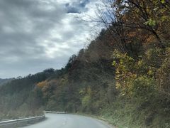 -秦岭风景区