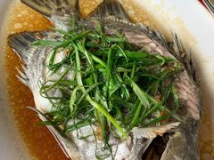 清蒸金古鱼-棠记海鲜餐厅(南朗镇店)