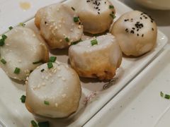 -咬不得高祖生煎·简餐(天城商业中心店)