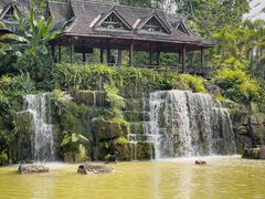 -中国科学院西双版纳热带植物园