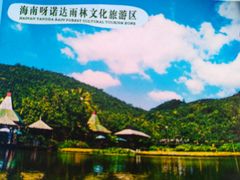 -呀诺达热带雨林