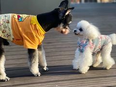 -百好乐宠物友好餐厅(朝外大街店)