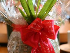 -广州富力君悦大酒店空中花园