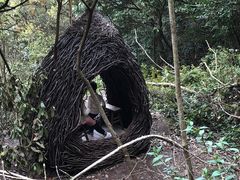 -龙湾潭国家森林公园