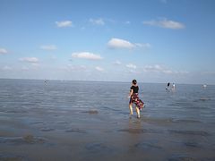 -南汇嘴观海公园