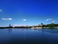 -莲花池公园